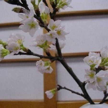 Wakaba Ryokan / Vacation Stay 29362 Саката Екстер'єр фото